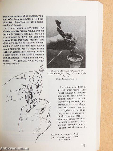 Oltás, szemzés, dugványozás