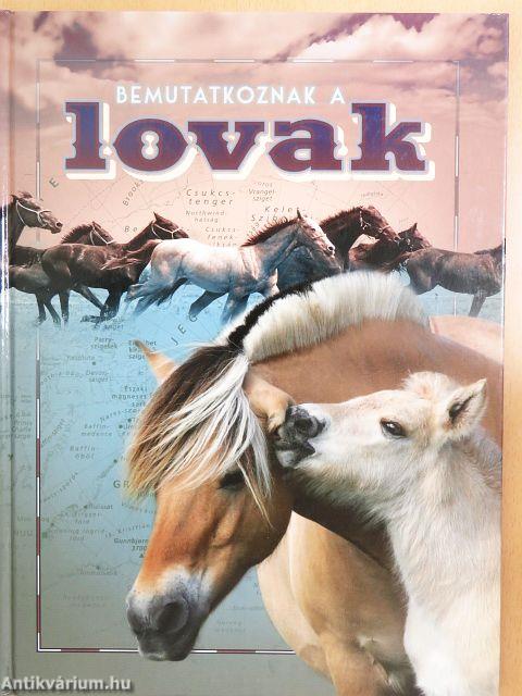 Bemutatkoznak a lovak