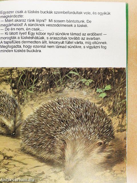 Tapsi elveszik és megkerül