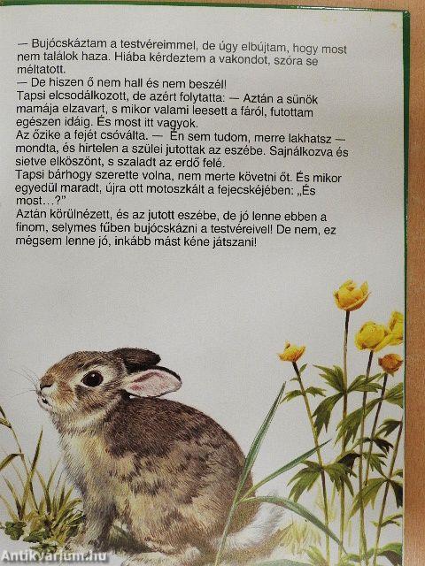 Tapsi elveszik és megkerül