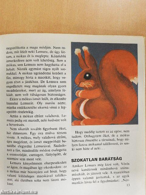 Szokatlan barátságok