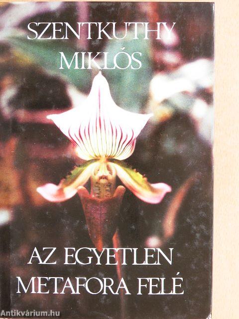Az egyetlen metafora felé