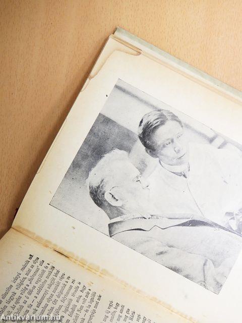 Bacillusvadászok (rossz állapotú)