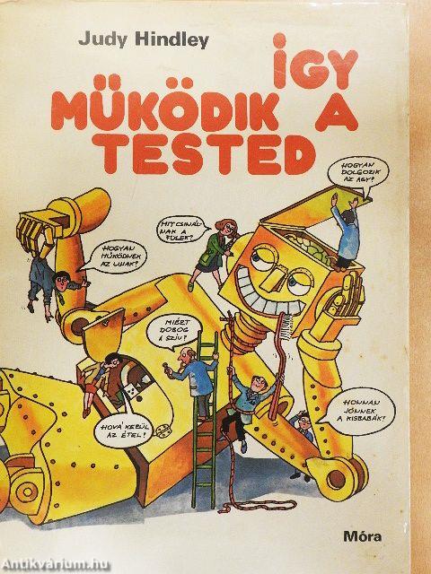 Így működik a tested