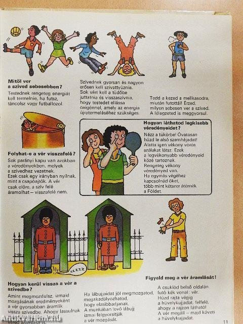 Így működik a tested