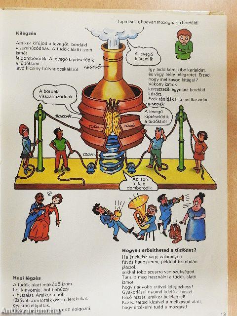 Így működik a tested