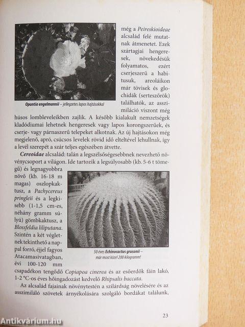 Kaktuszok kislexikona