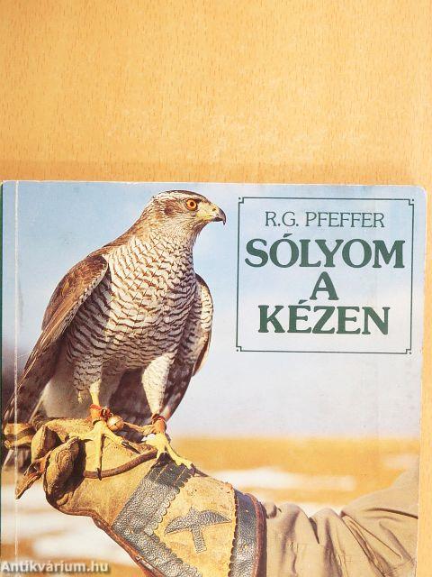 Sólyom a kézen