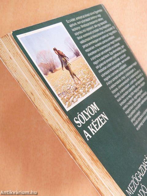 Sólyom a kézen