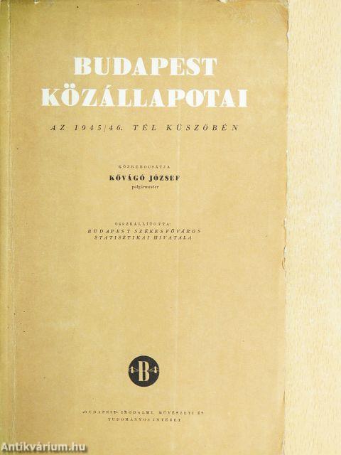 Budapest közállapotai