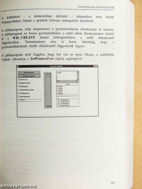 Könnyű a WINDOWS-t programozni!?