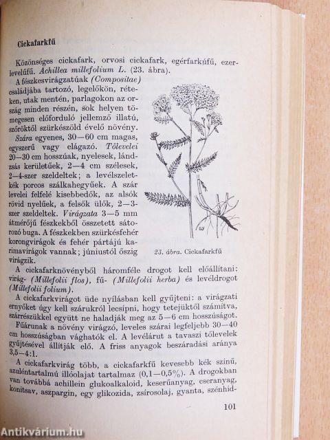 Gyógyító növények
