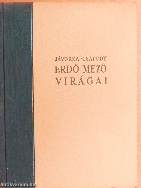 Erdő mező virágai