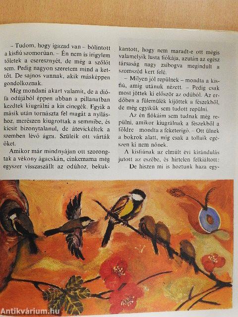 Miről dalolnak a madarak?