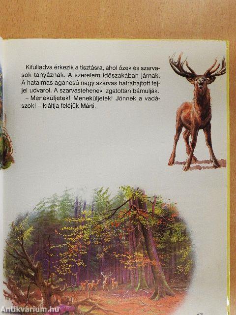 Márti erdei sétája