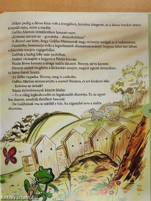 A gavallér zsiráf