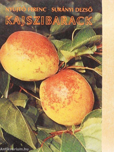 Kajszibarack