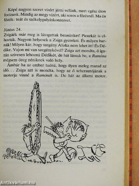 Hajónapló