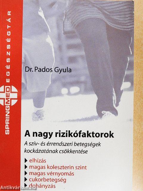 A nagy rizikófaktorok
