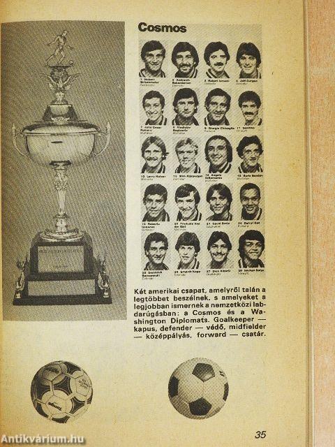 Labdarúgó almanach 1981
