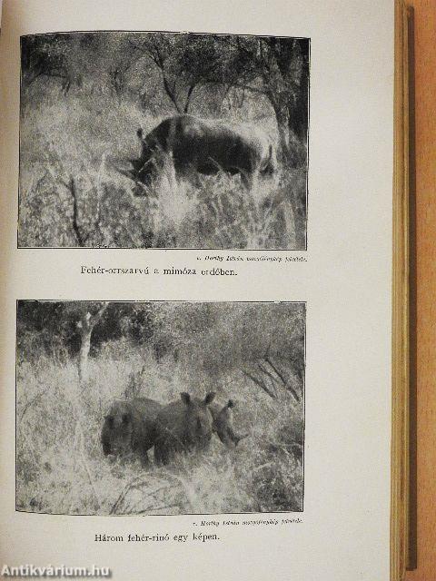 A megváltozott Afrika