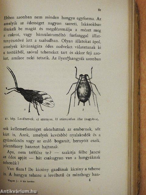 A kis kertész