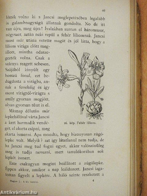 A kis kertész