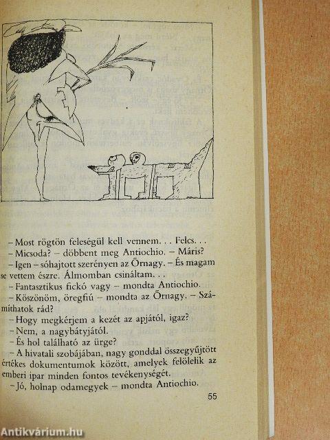 Venyigeszú és a plankton