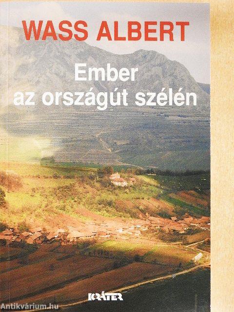 Ember az országút szélén