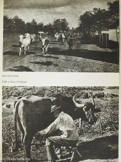 Apáról fiúra