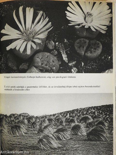 Rejtelmes-e a növényi élet?