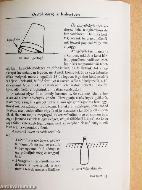 Ősztől őszig a kiskertben