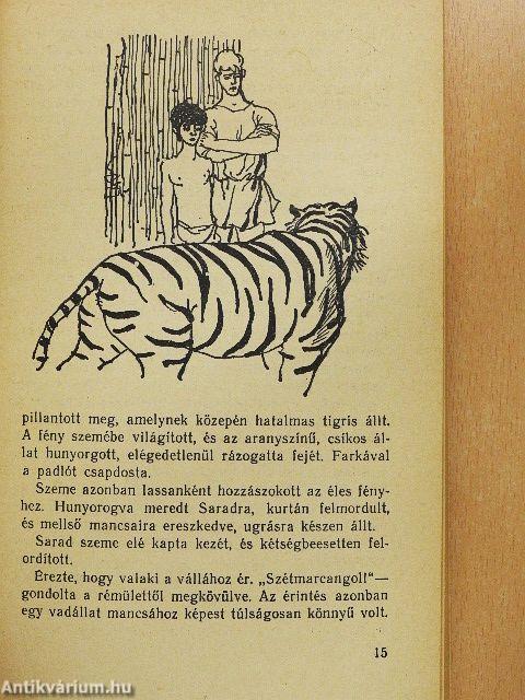 A repülő ember