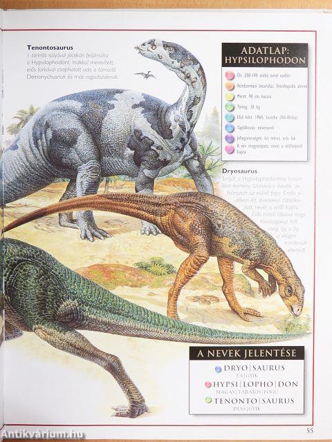 A dinoszauruszok világa