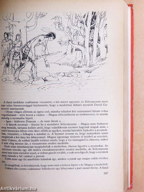 Nagy indiánkönyv