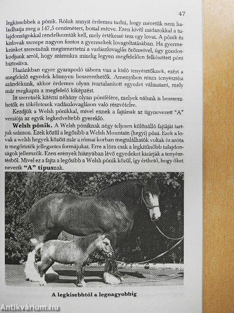 Lovas vadászatok