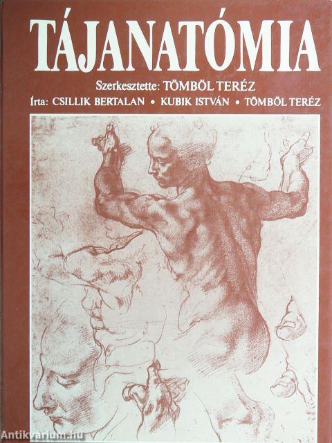 Tájanatómia