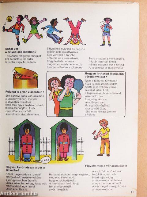 Így működik a tested