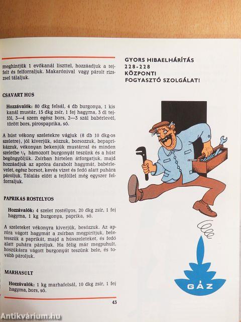 Főzzünk, süssünk gázzal!