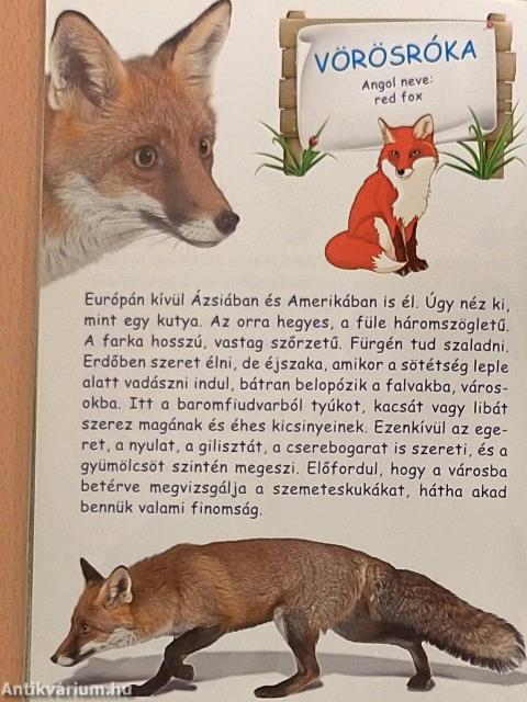 Állatkertek lakói