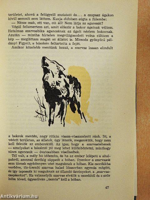 Védett erdők sűrűjében