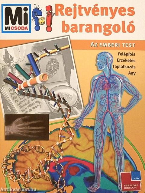 Rejtvényes barangoló - Az emberi test