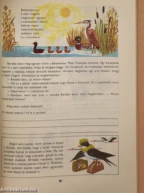 Új vakáció 2.