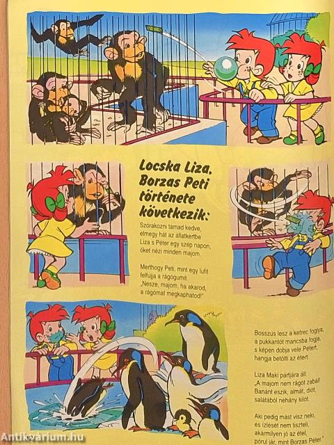 Buci Maci 1993. június