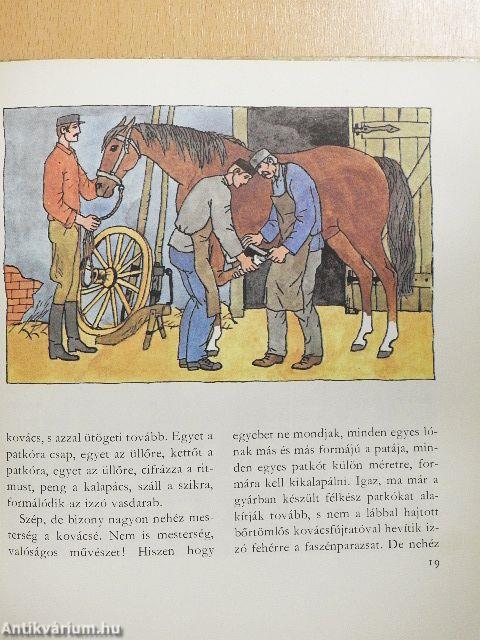Sárga csikó, csengő rajta