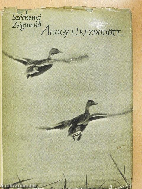 Ahogy elkezdődött...