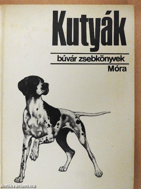 Kutyák