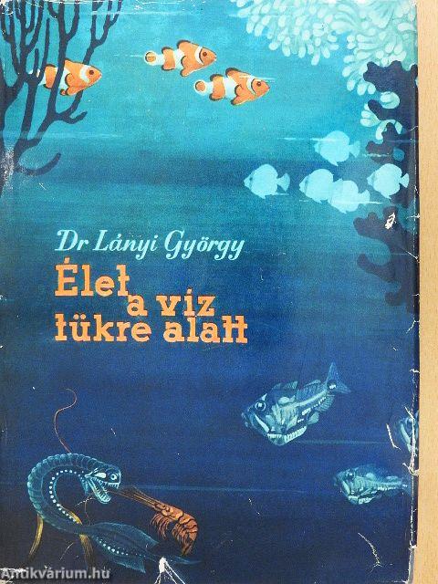 Élet a víz tükre alatt
