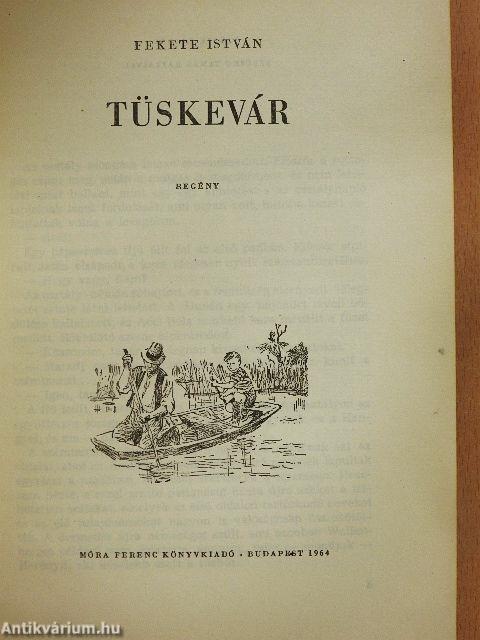 Tüskevár