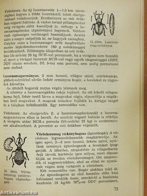 Permetezés, porozás